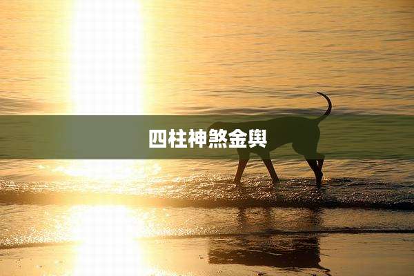 四柱神煞金舆