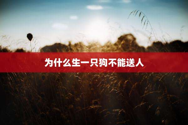 为什么生一只狗不能送人
