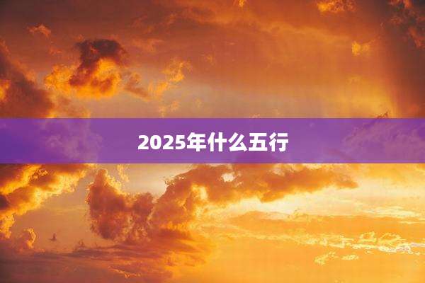 2025年什么五行