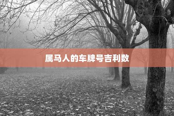 属马人的车牌号吉利数