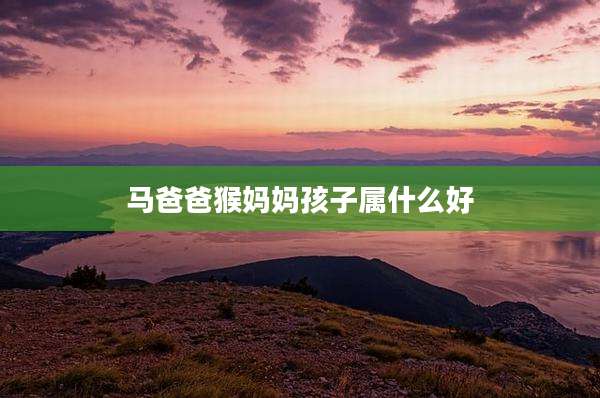 马爸爸猴妈妈孩子属什么好