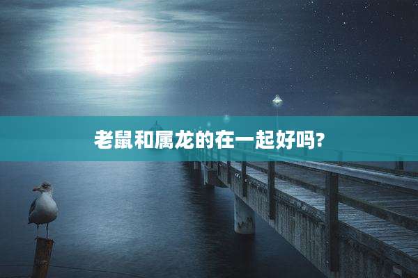 老鼠和属龙的在一起好吗?