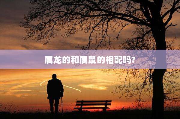 属龙的和属鼠的相配吗?