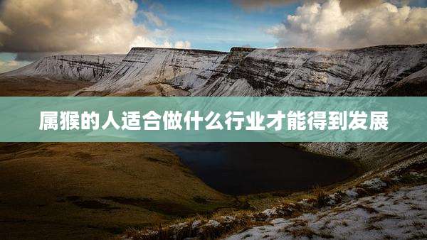 属猴的人适合做什么行业才能得到发展