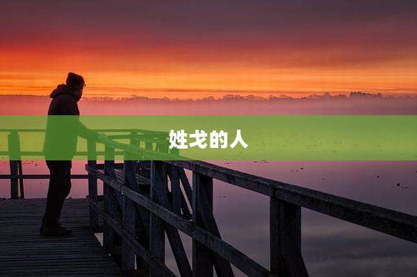 姓戈的人