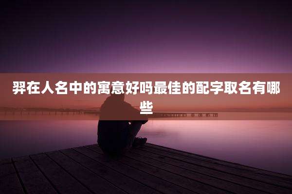 羿在人名中的寓意好吗最佳的配字取名有哪些
