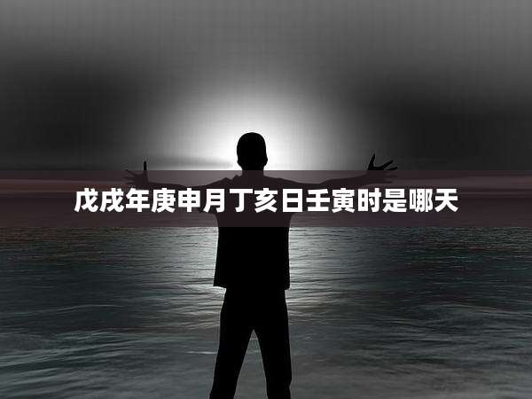 戊戌年庚申月丁亥日壬寅时是哪天