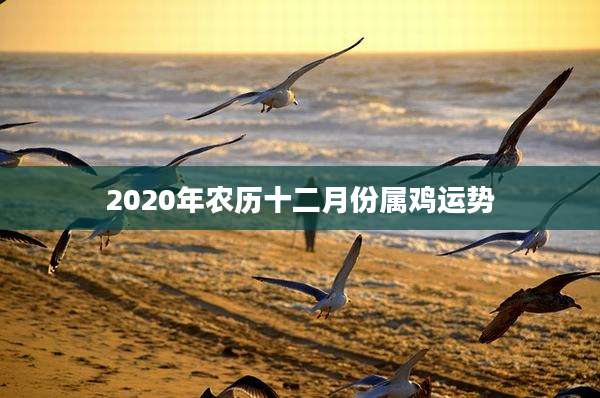 2020年农历十二月份属鸡运势