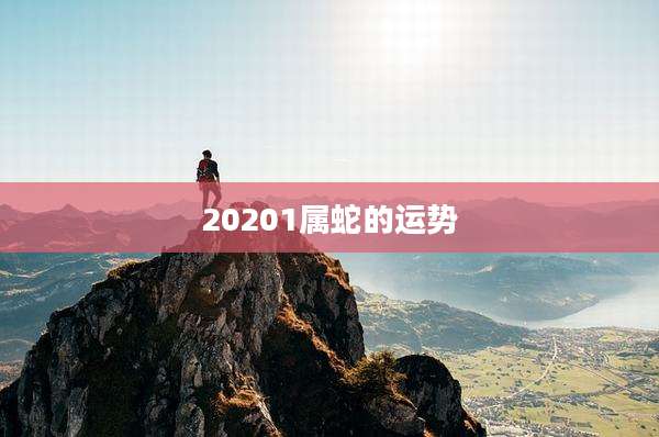 20201属蛇的运势