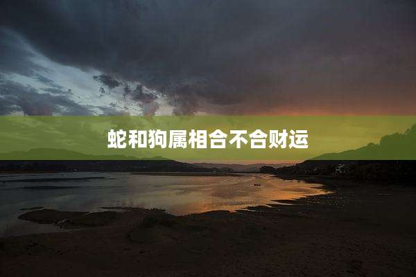 蛇和狗属相合不合财运