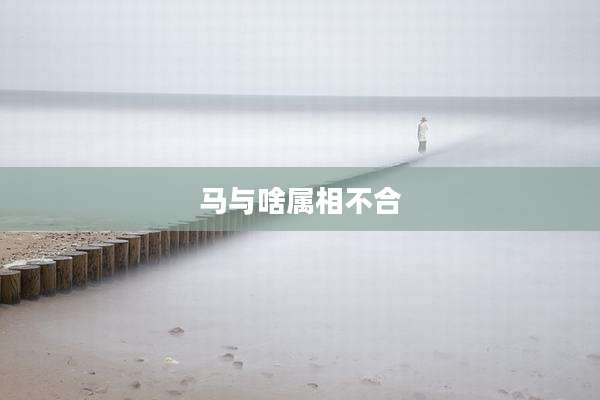 马与啥属相不合