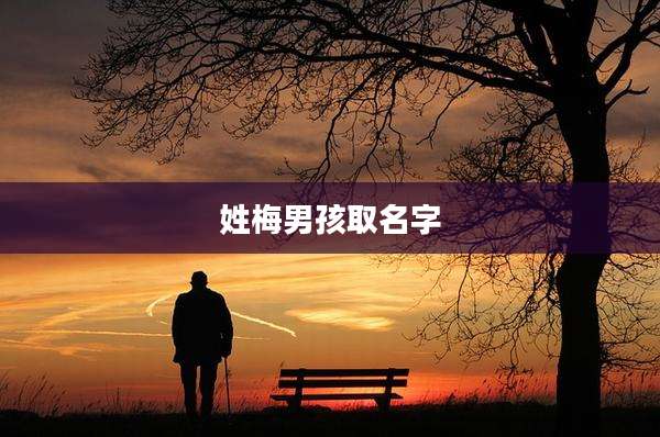 姓梅男孩取名字