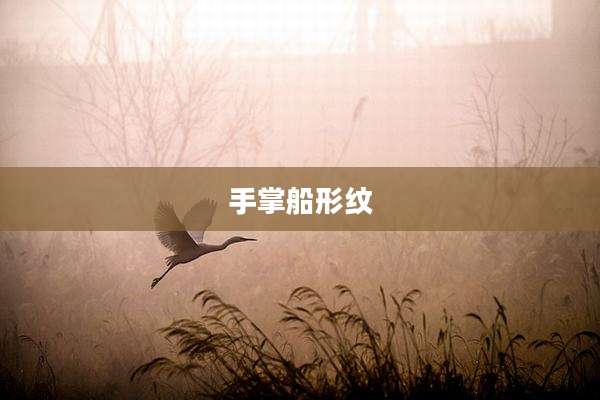 手掌船形纹