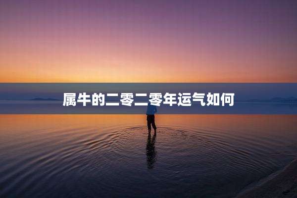 属牛的二零二零年运气如何