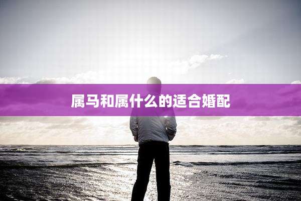 属马和属什么的适合婚配