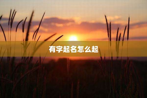 有字起名怎么起