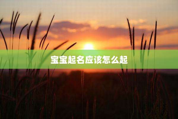 宝宝起名应该怎么起