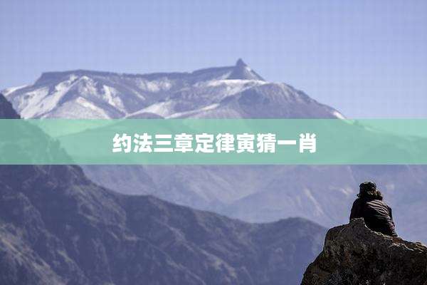 约法三章定律寅猜一肖
