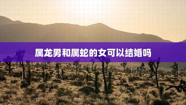 属龙男和属蛇的女可以结婚吗