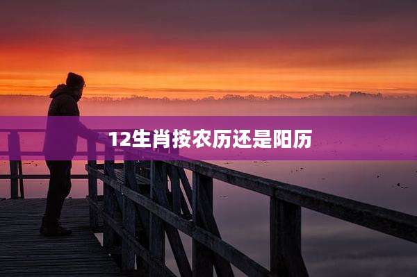 12生肖按农历还是阳历