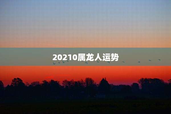 20210属龙人运势