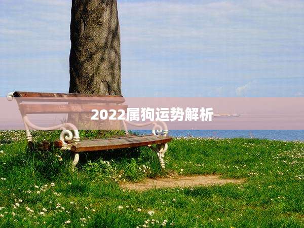 2022属狗运势解析