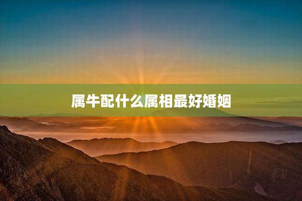 属牛配什么属相最好婚姻