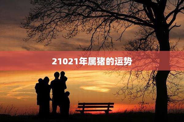 21021年属猪的运势