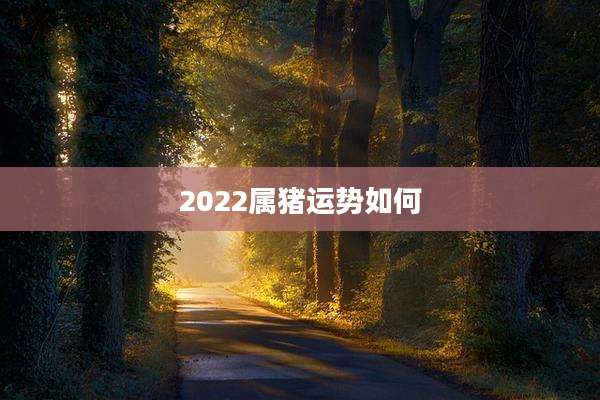 2022属猪运势如何