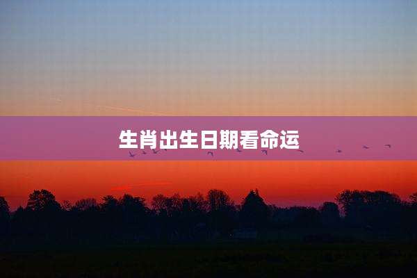 生肖出生日期看命运