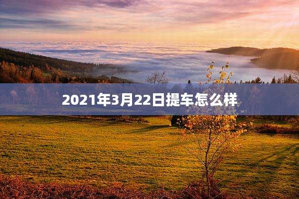 2021年3月22日提车怎么样