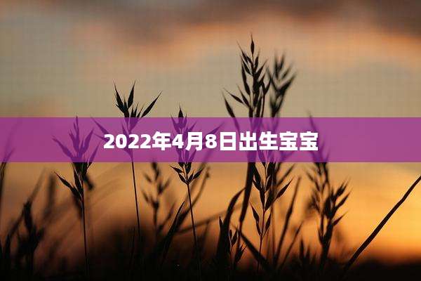 2022年4月8日出生宝宝