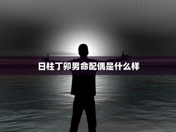 日柱丁卯男命配偶是什么样