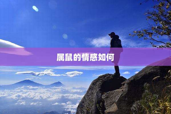 属鼠的情感如何