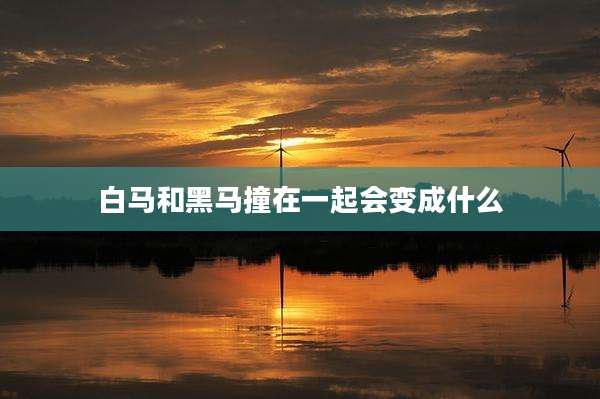 白马和黑马撞在一起会变成什么