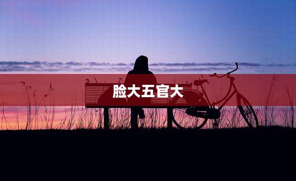 脸大五官大