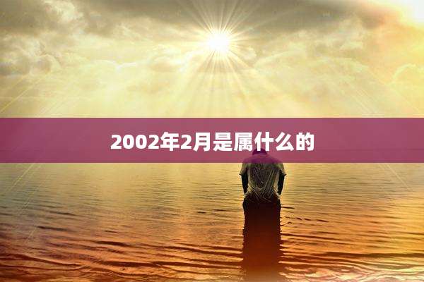 2002年2月是属什么的