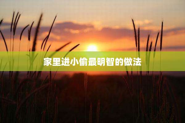 家里进小偷最明智的做法