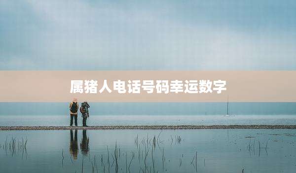 属猪人电话号码幸运数字