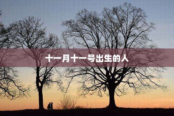 十一月十一号出生的人