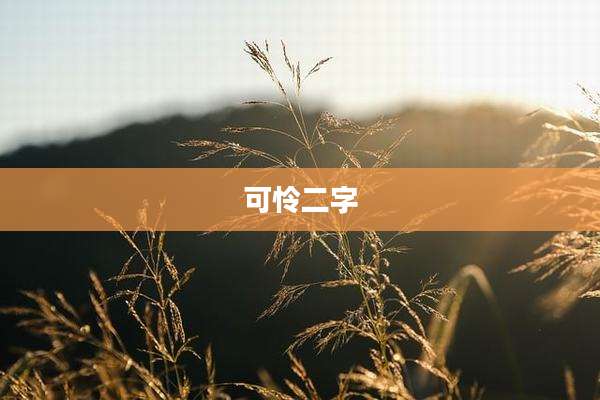 可怜二字
