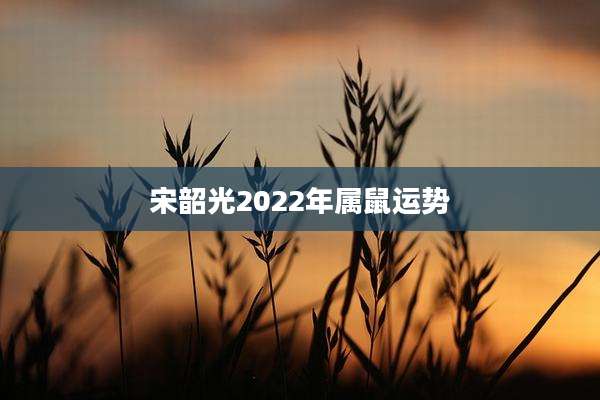 宋韶光2022年属鼠运势