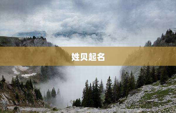 姓贝起名
