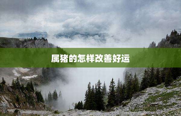 属猪的怎样改善好运