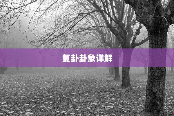 复卦卦象详解