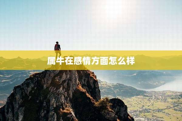 属牛在感情方面怎么样