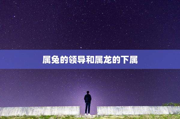 属兔的领导和属龙的下属