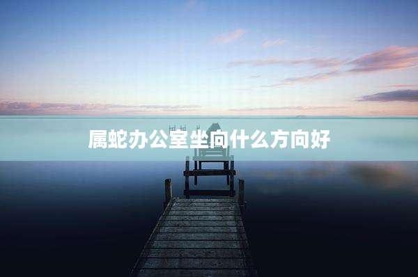属蛇办公室坐向什么方向好