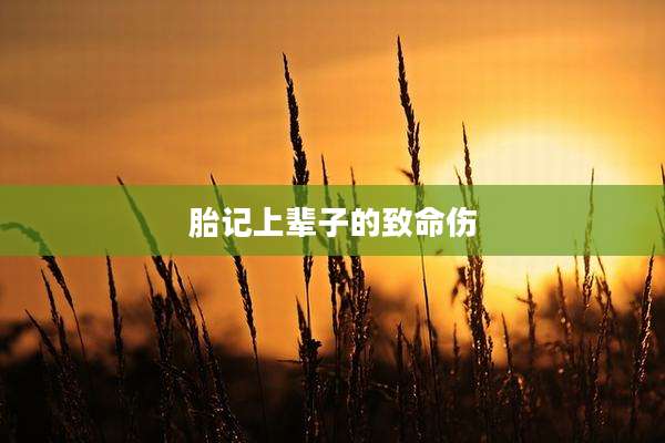 胎记上辈子的致命伤