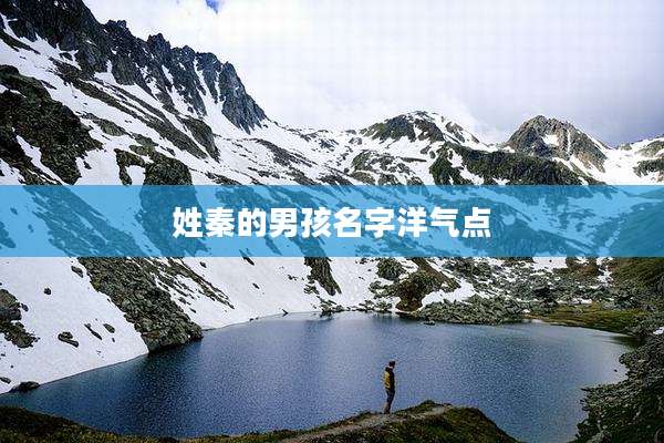 姓秦的男孩名字洋气点